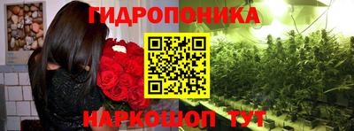 ГАЛЛЮЦИНОГЕННЫЕ ГРИБЫ Малгобек