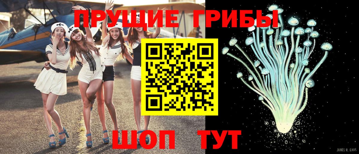 Псилоцибиновые грибы прущие грибы  Псилоцибиновые грибы мухоморы  Вход с VPN  Горячий Ключ 